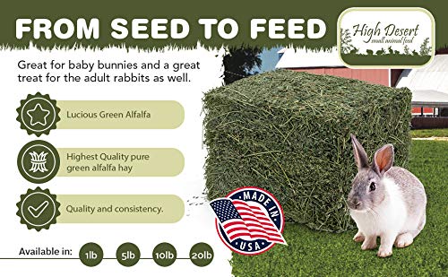 High Desert alfalfa hay supports daily grazing routines with gentle texture.