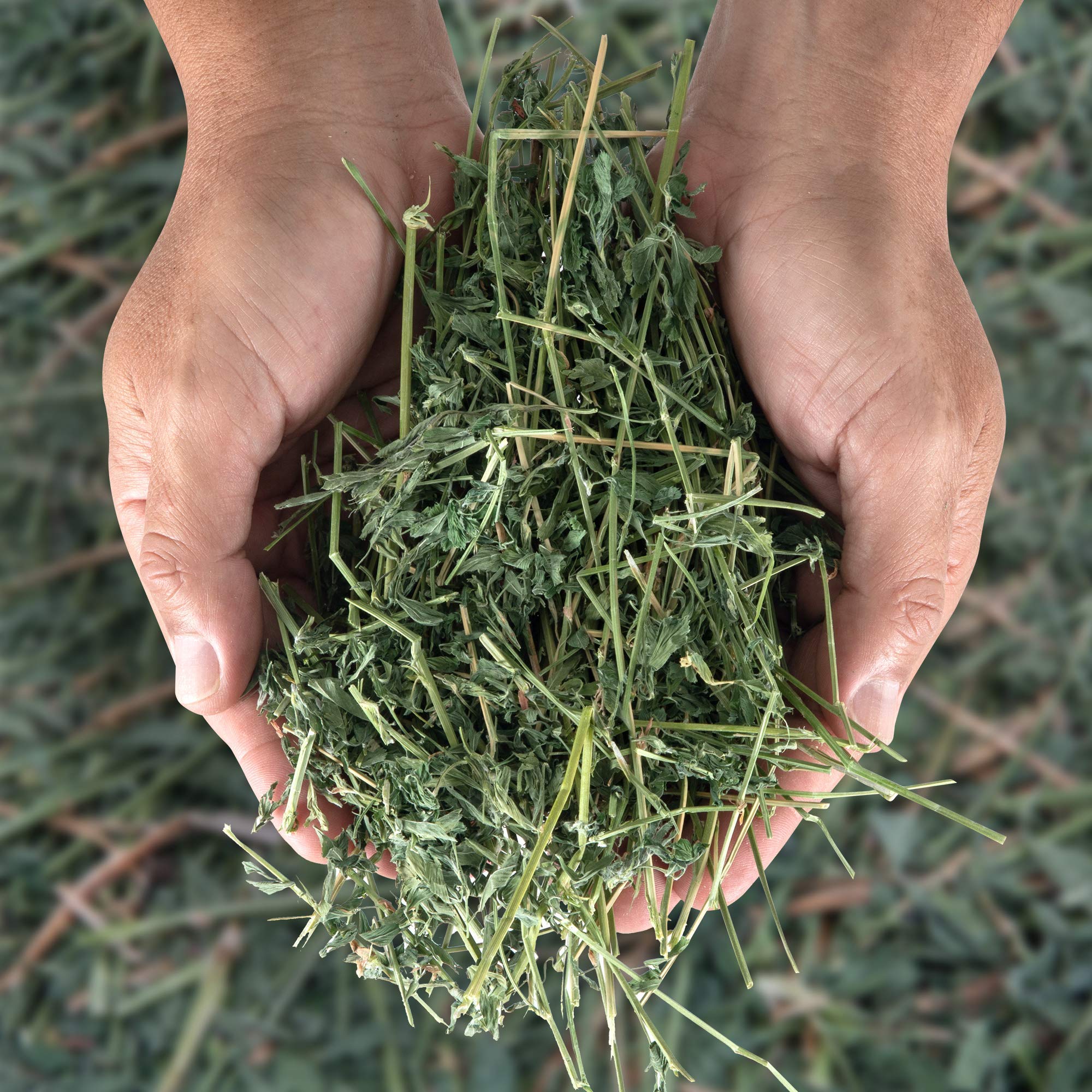 High Desert Alfalfa Hay fresh hand-packed 5-lb box preserves aroma.