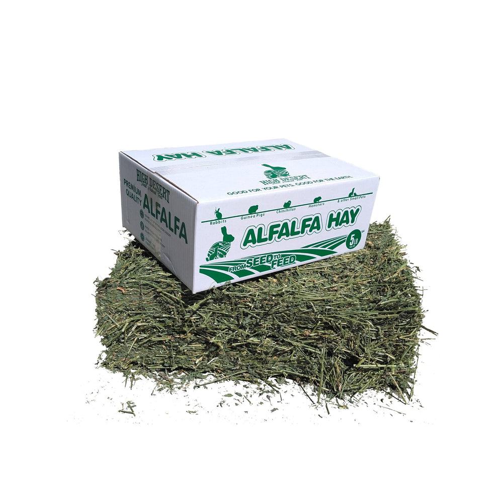 High Desert Alfalfa Hay guinea pig nibbling joy, aroma and soft texture.