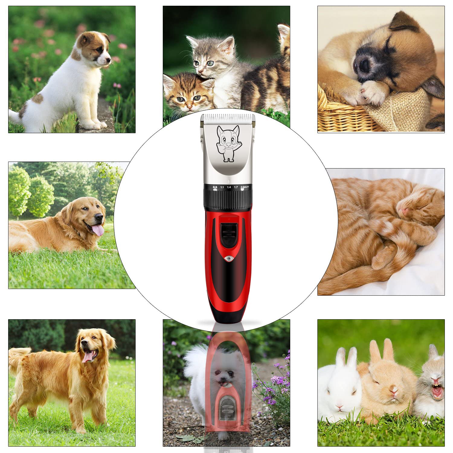 Highdas easy-care-guide image with step-by-step grooming tips.
