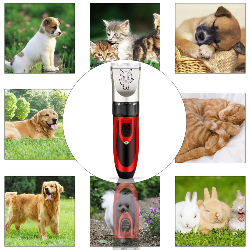 Highdas easy-care-guide image with step-by-step grooming tips.