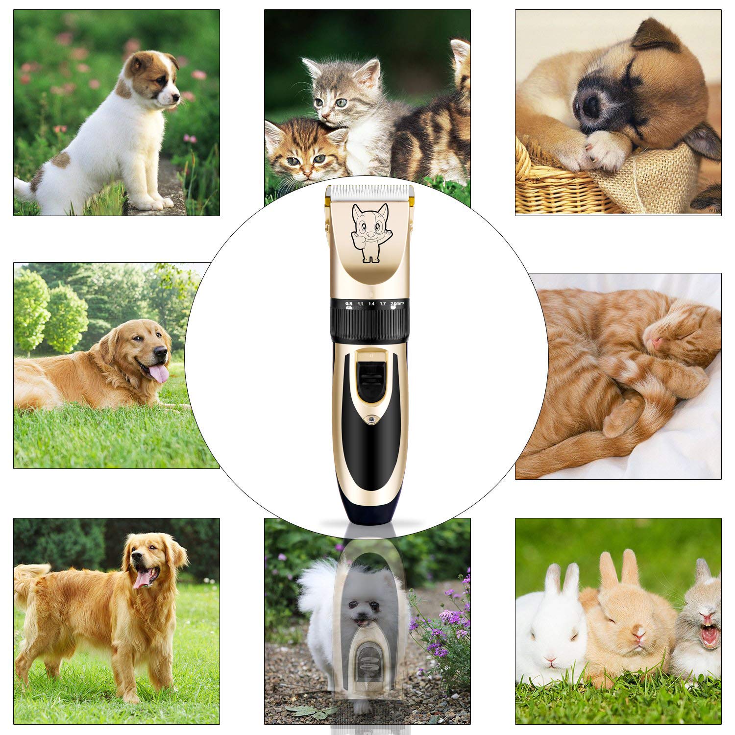 Highdas thick coat grooming with cordless design for convenient home sessions.