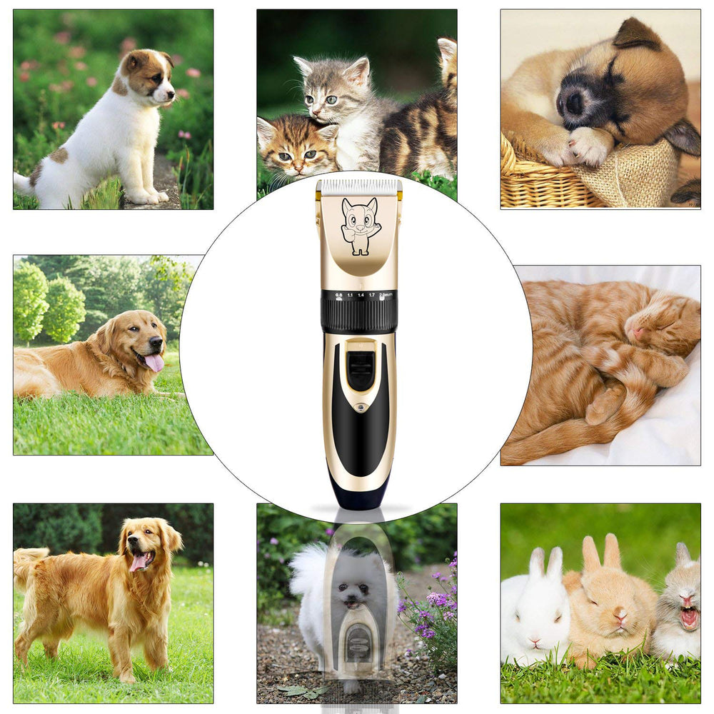 Highdas thick coat grooming with cordless design for convenient home sessions.