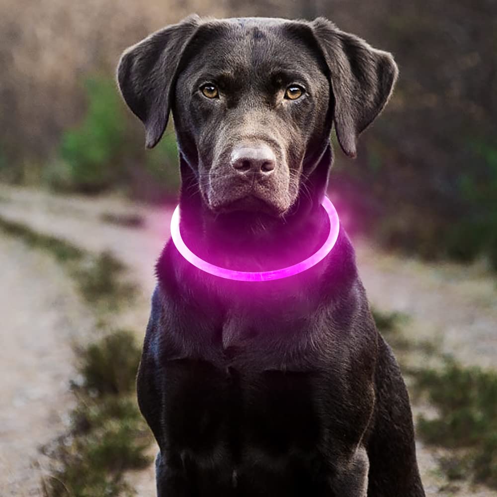 Higo secure collar design ensures easy on/off and reliable fit.