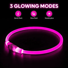 Higo LED dog collar shows 360-degree glow for night walks.
