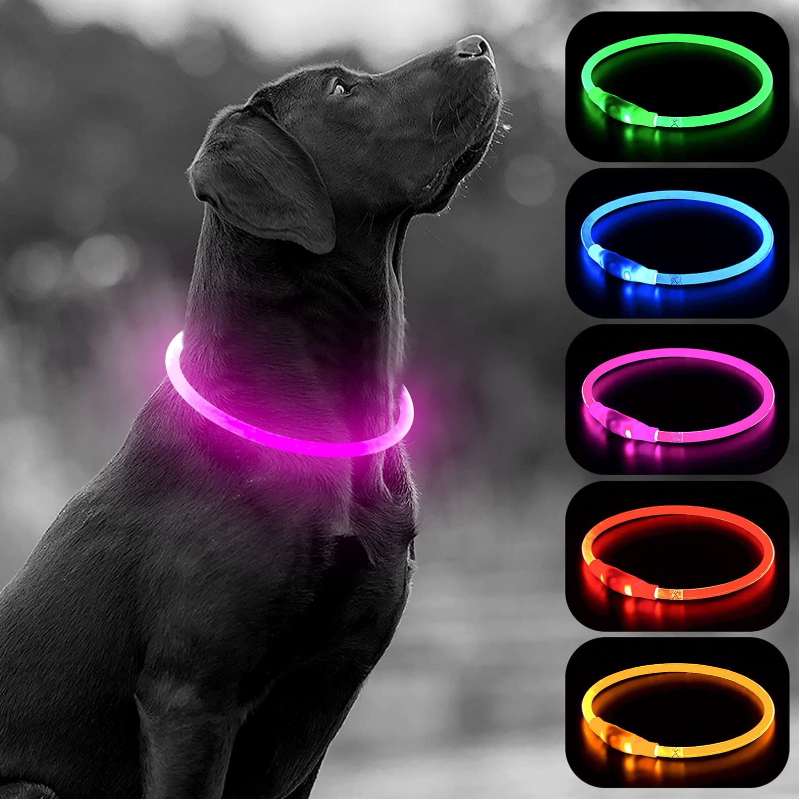 Higo LED dog collar pink, top view, vibrant glow for night visibility.