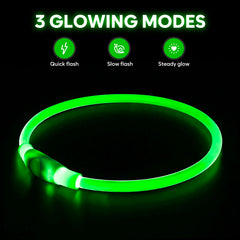 Higo LED dog collar shows visibility up to 400 yards during dusk walks.