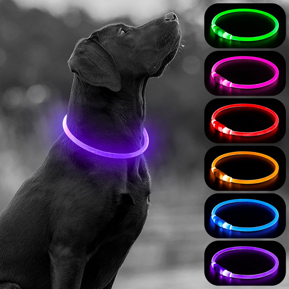 Higo Light Up Dog Collar provides a 360° glow for safer night walks.