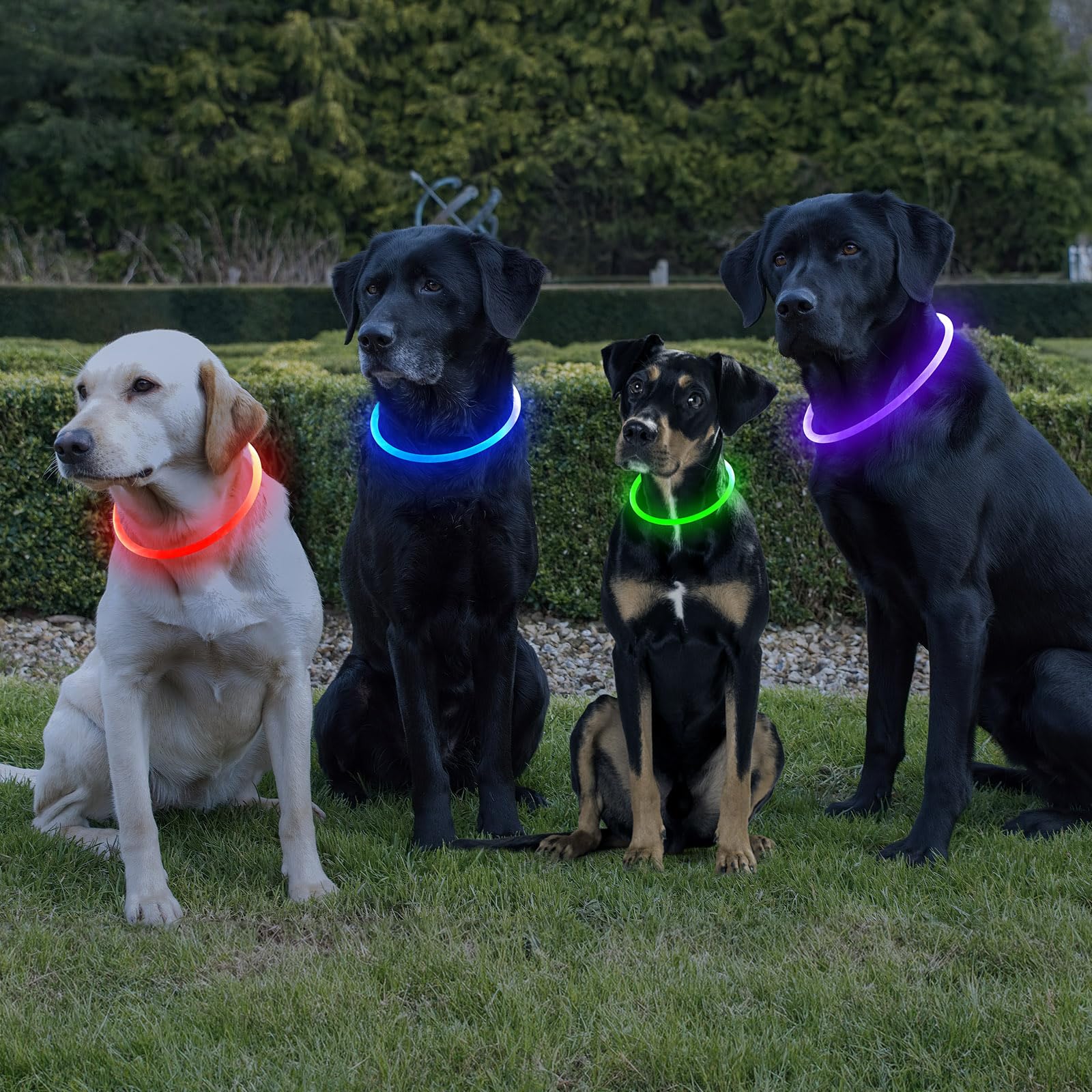 Higo Light Up Dog Collar fits small to large dogs for everyday use.