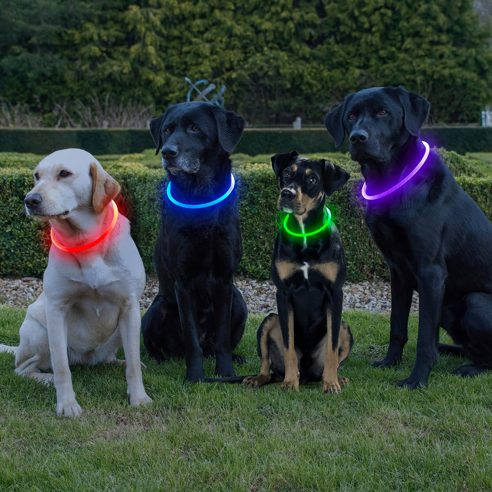 Higo Light Up Dog Collar fits small to large dogs for everyday use.