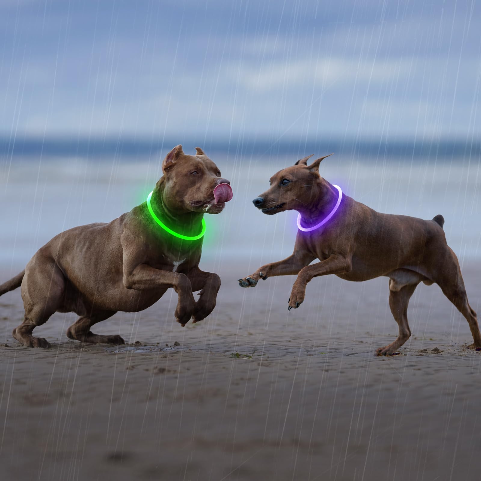 Higo Light Up Dog Collar includes 1-year warranty and responsive support.