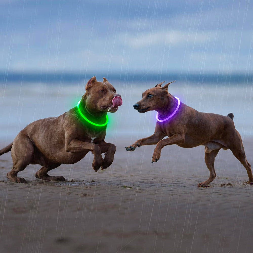 Higo Light Up Dog Collar includes 1-year warranty and responsive support.