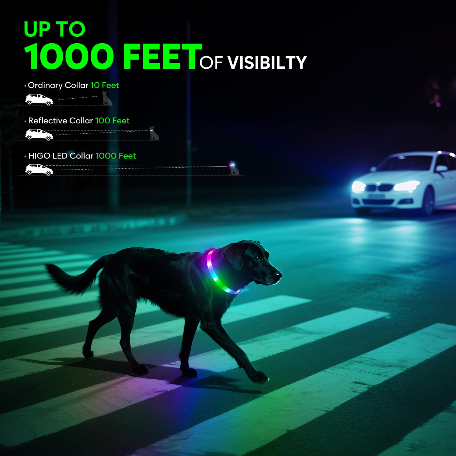 Higo RGB LED dog collar light color modes showcase six colors