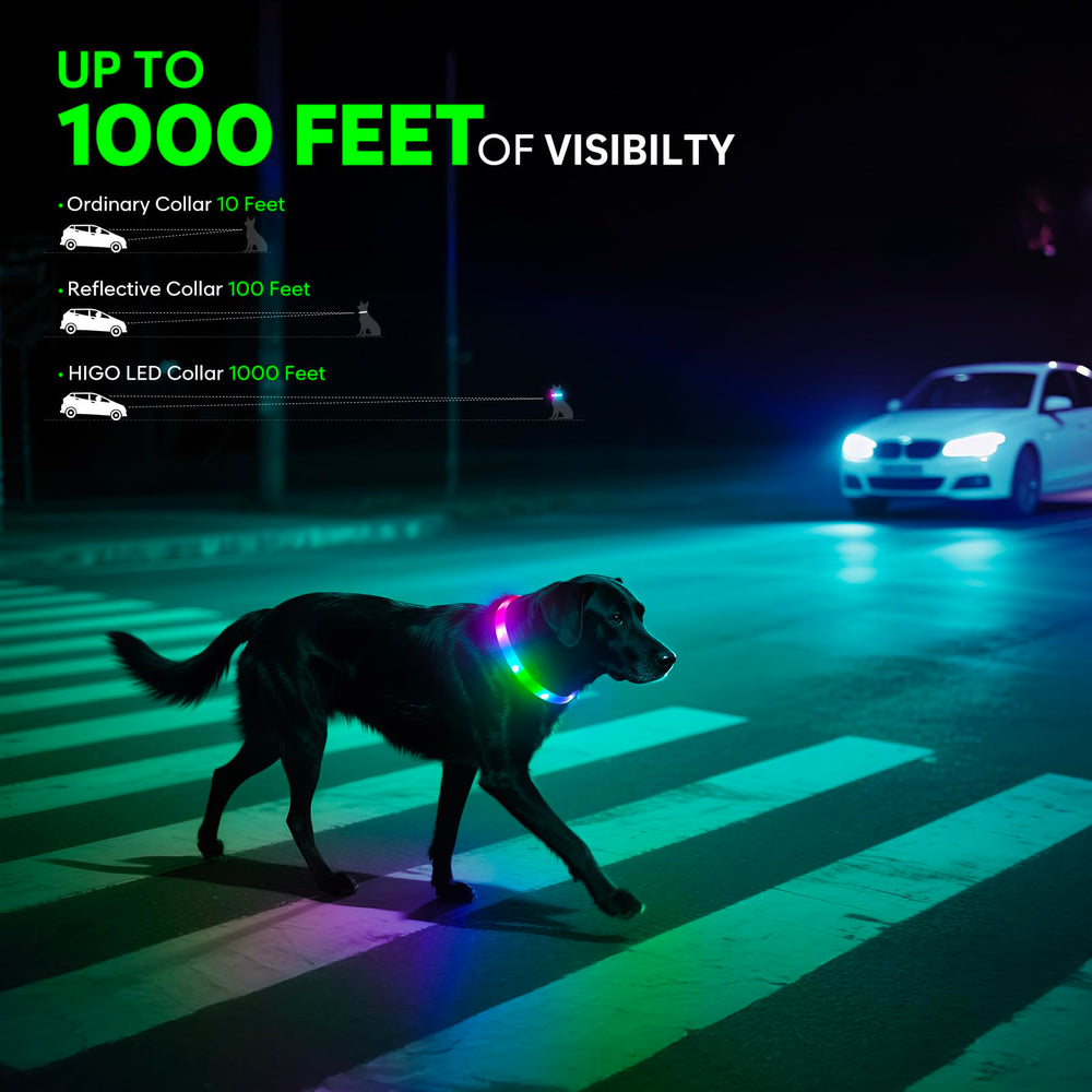 Higo RGB LED dog collar light color modes showcase six colors