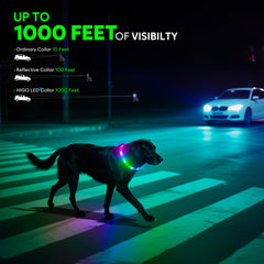 Higo RGB LED dog collar light color modes showcase six colors