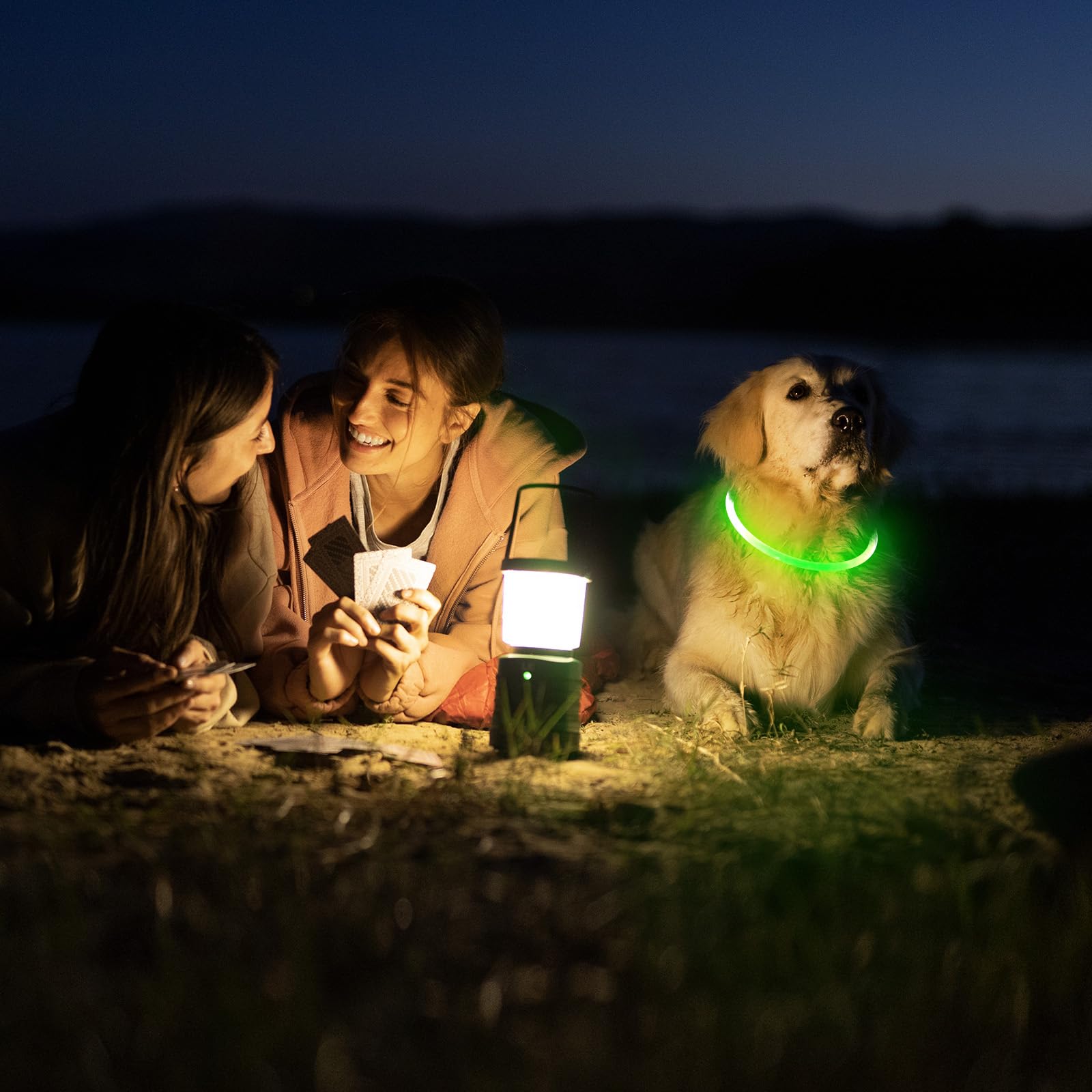 Higo water-resistant dog collar suitable for rain and damp conditions.