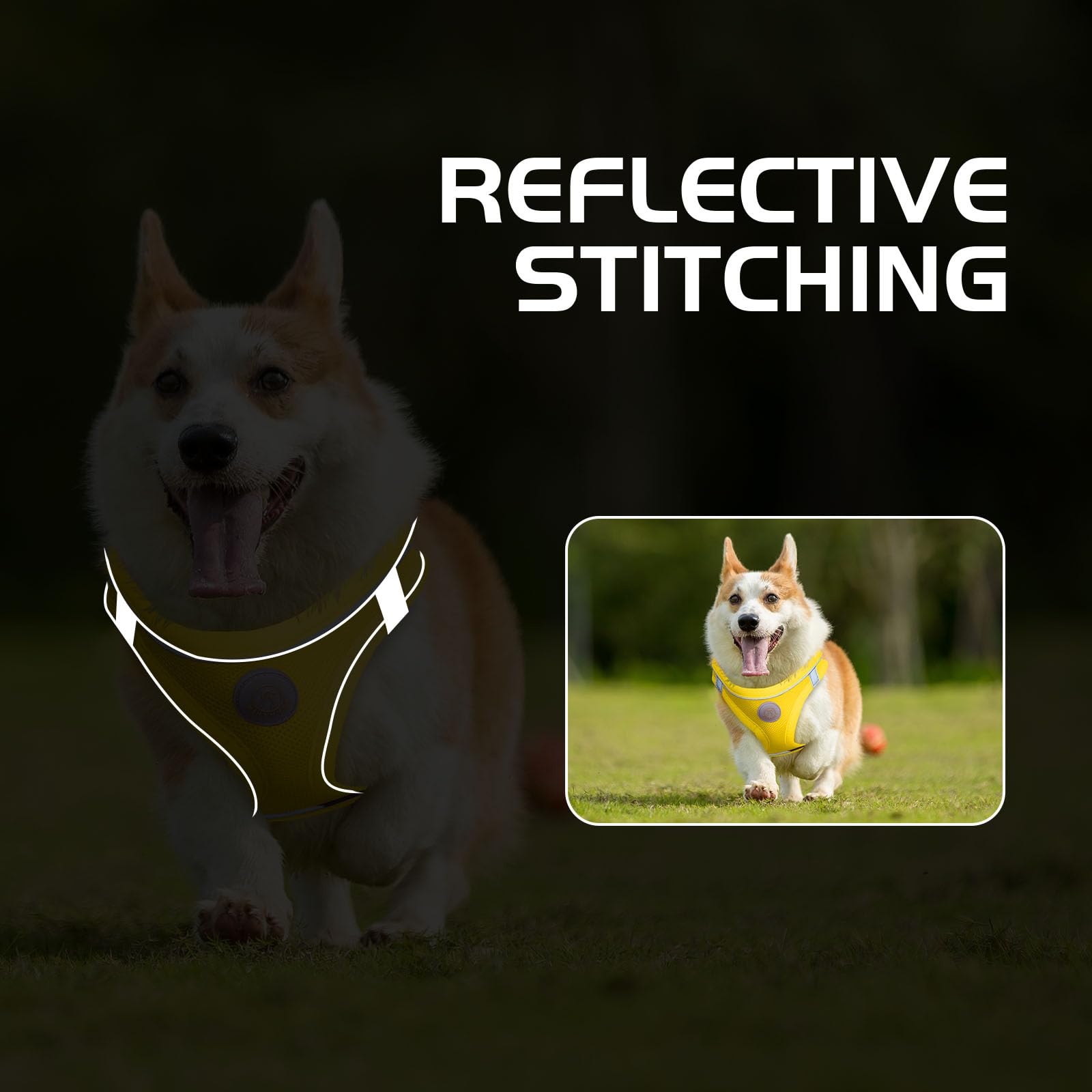 HIHANHAN step-in design allows easy on and off during quick outings
