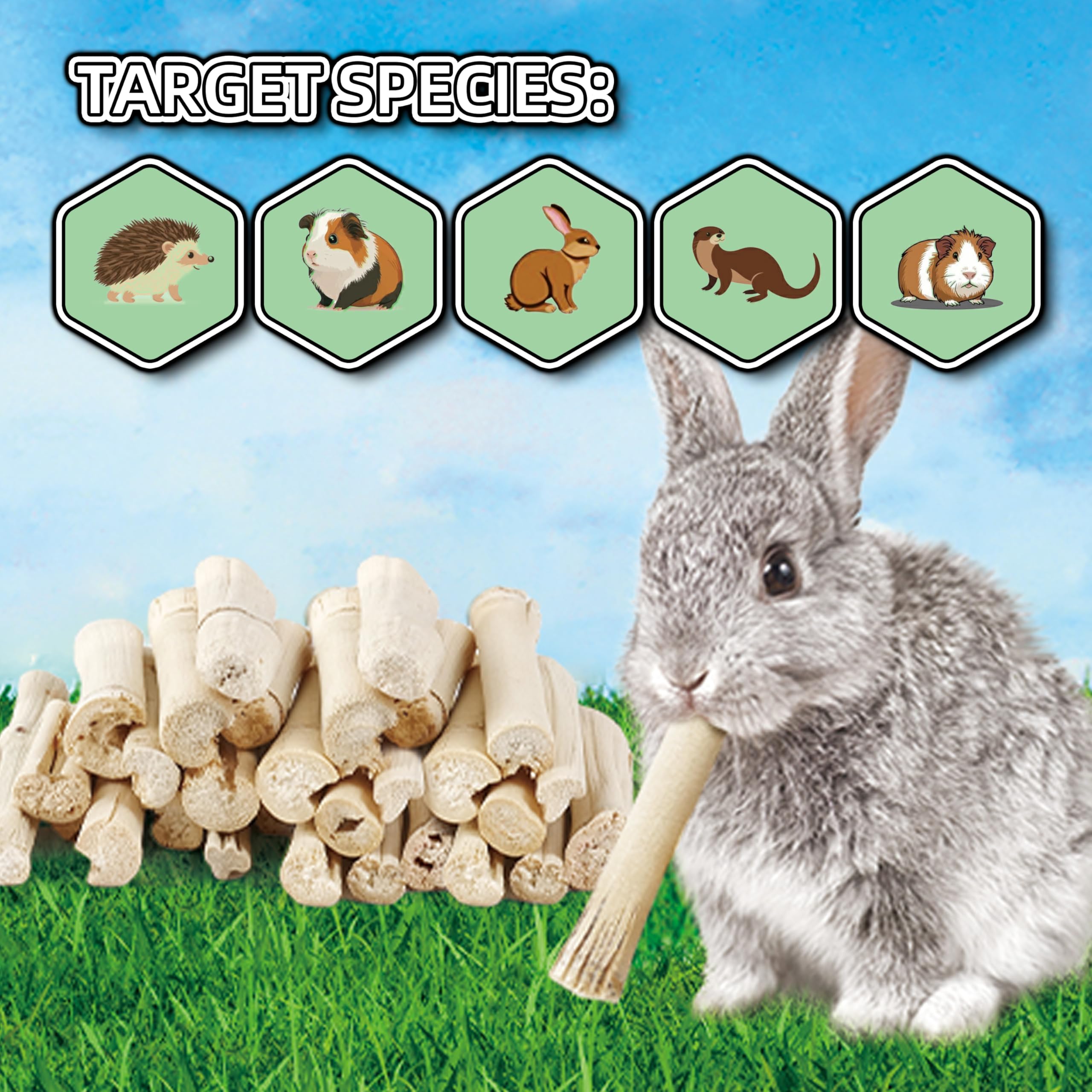 HIIMALEX bamboo chew sticks closeup showing natural texture for dental-friendly chewing