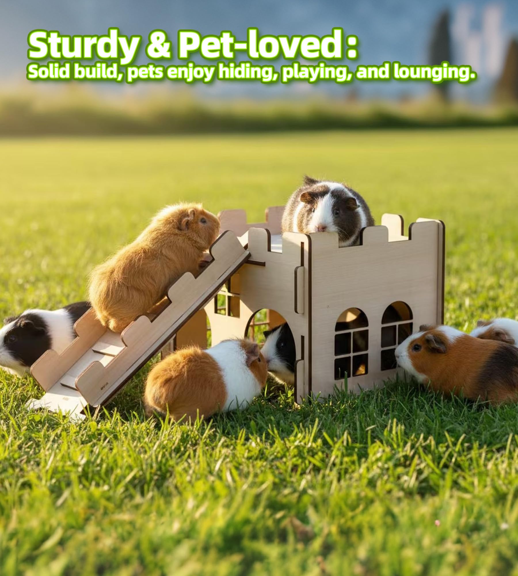 HIIMALEX brand label packaging signals trusted, ready-to-use small-pet habitat.