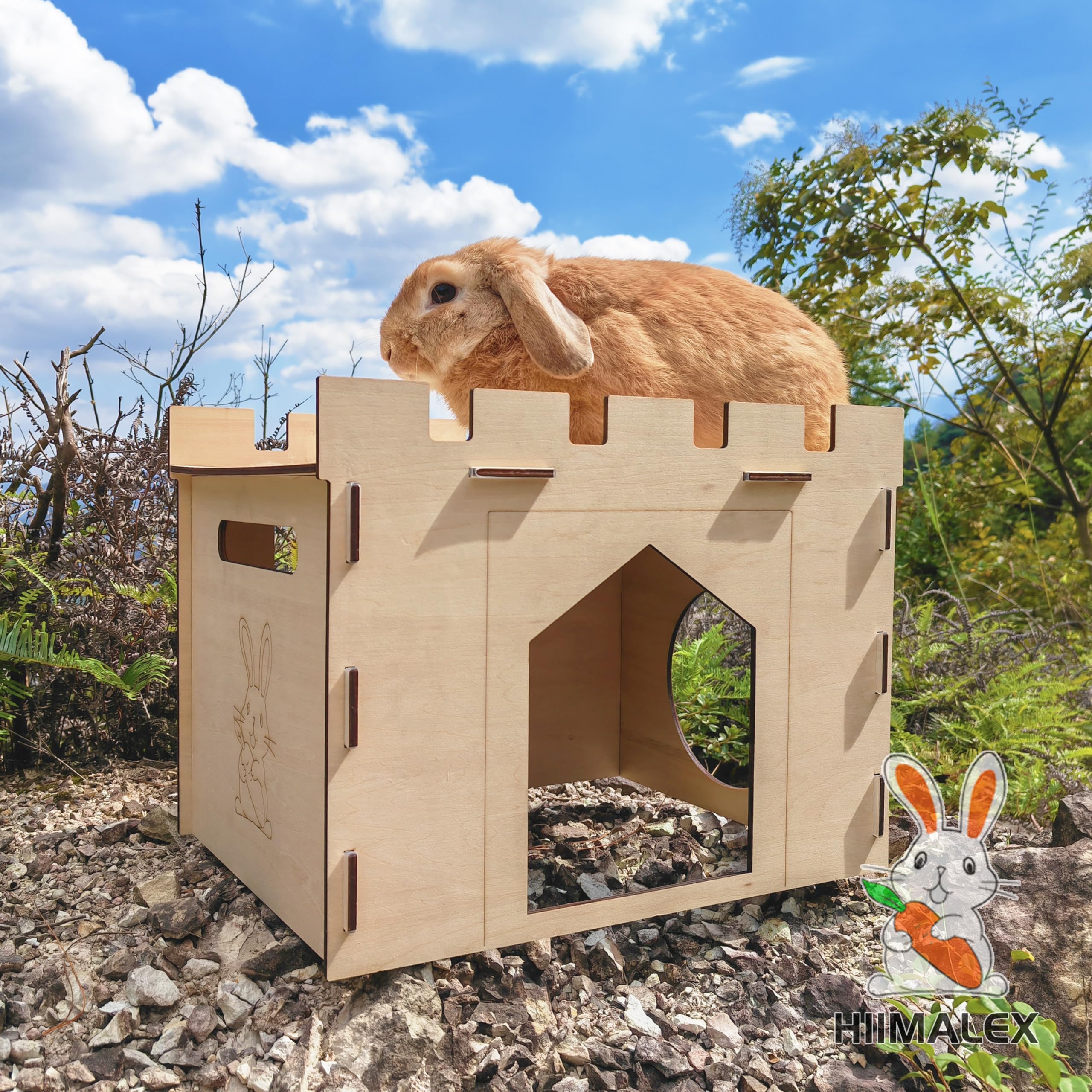 HIIMALEX indoor habitat enhances home decor while offering a cozy retreat.