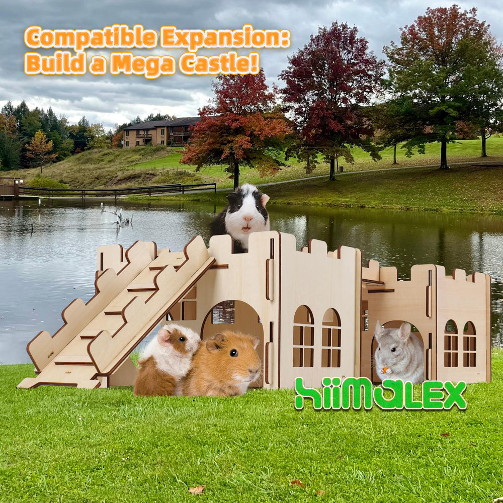 HIIMALEX guinea pig hideout ramp demonstrates easy access and climbing fun.