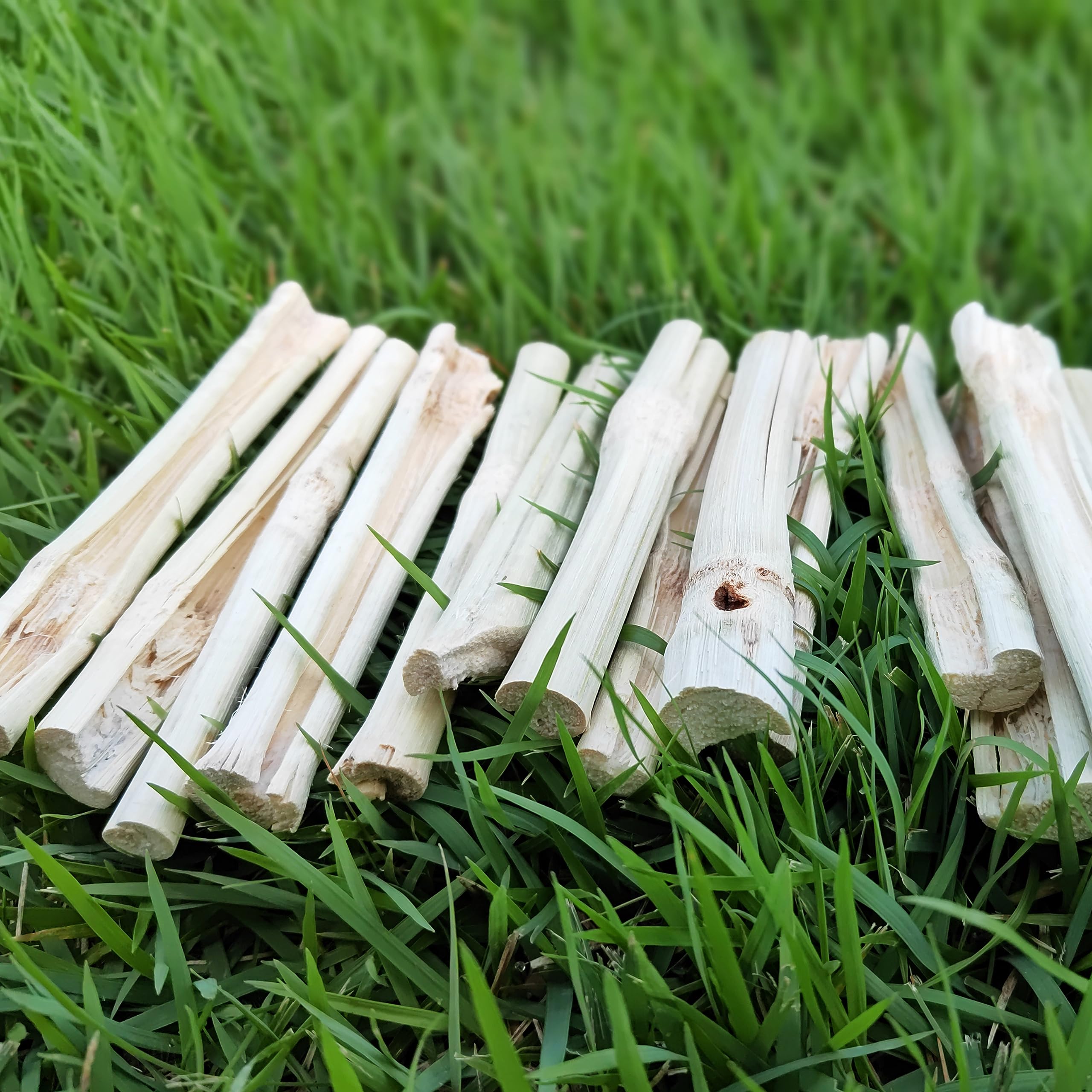 HIIMALEX serving suggestion image with sticks ready for use