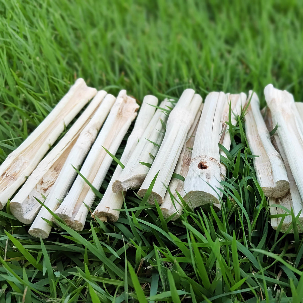 HIIMALEX serving suggestion image with sticks ready for use