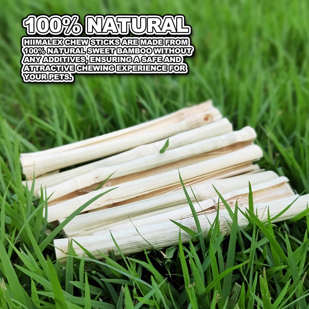 HIIMALEX small animal chews image depicting pets enjoying enrichment