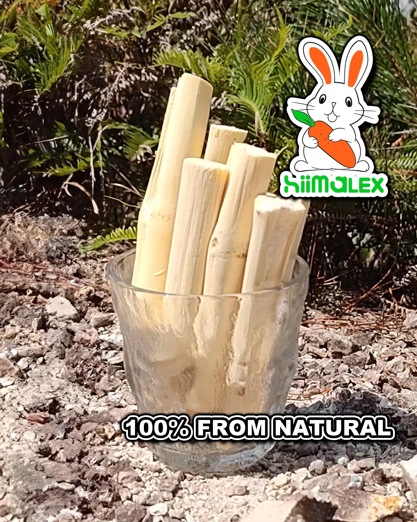 HIIMALEX variety of small animals using sticks for play