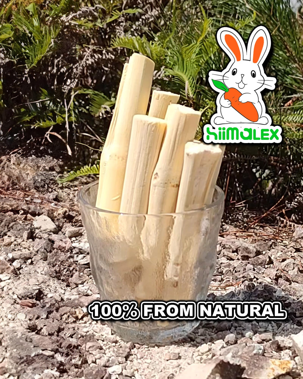 HIIMALEX variety of small animals using sticks for play