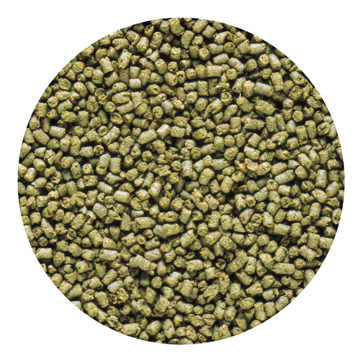 Close-up of Hikari pellets showing texture for balanced nutrition.