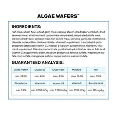 Hikari algae wafers pleco-diet, the #1 selling choice for plecos.