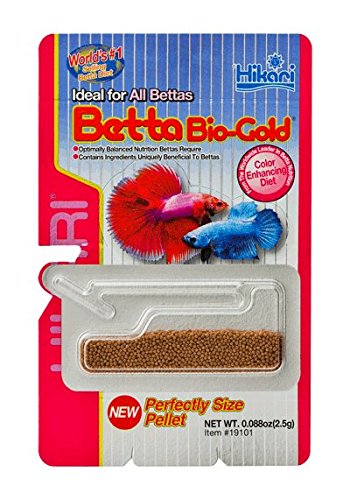 Hikari Betta Bio-Gold Baby Pellets close-up reveals pellet texture for easy feeding.