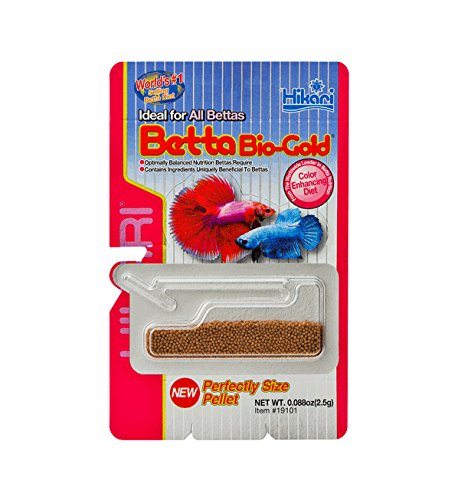 Hikari Betta Bio-Gold Baby Pellets close-up highlights bite-sized nutrition.
