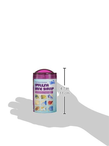 Hikari Bio-Pure cubes close-up showing vibrant spirulina texture for easy portioning.
