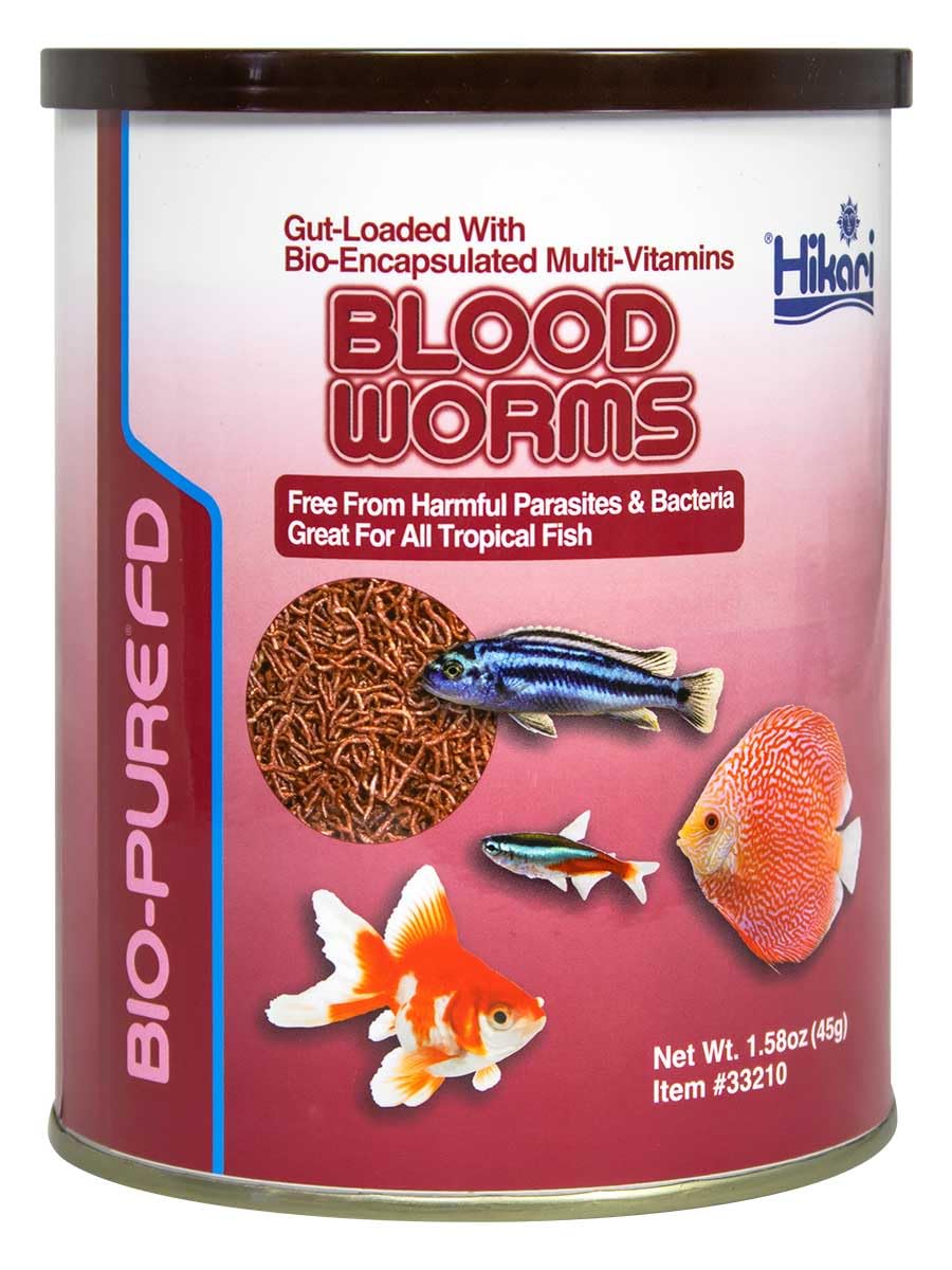 Hikari Bio-Pure freeze-dried blood worms packaging shows freshness and premium quality.