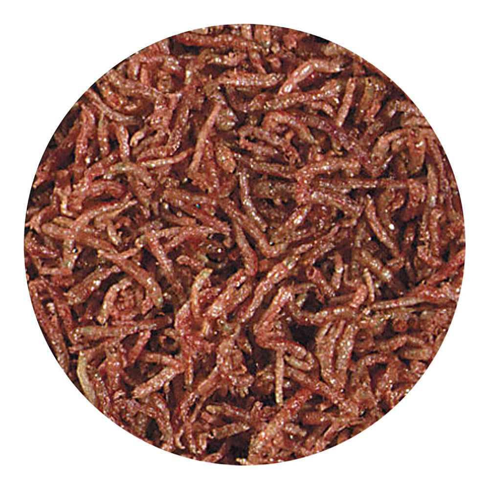 Hikari Bio-Pure freeze-dried blood worms texture closeup for easy consumption.