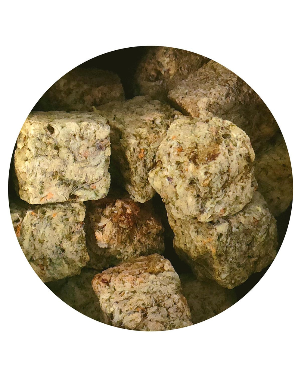 Hikari Bio-Pure vitamin-rich brine shrimp supports nutritionally balanced feeding.