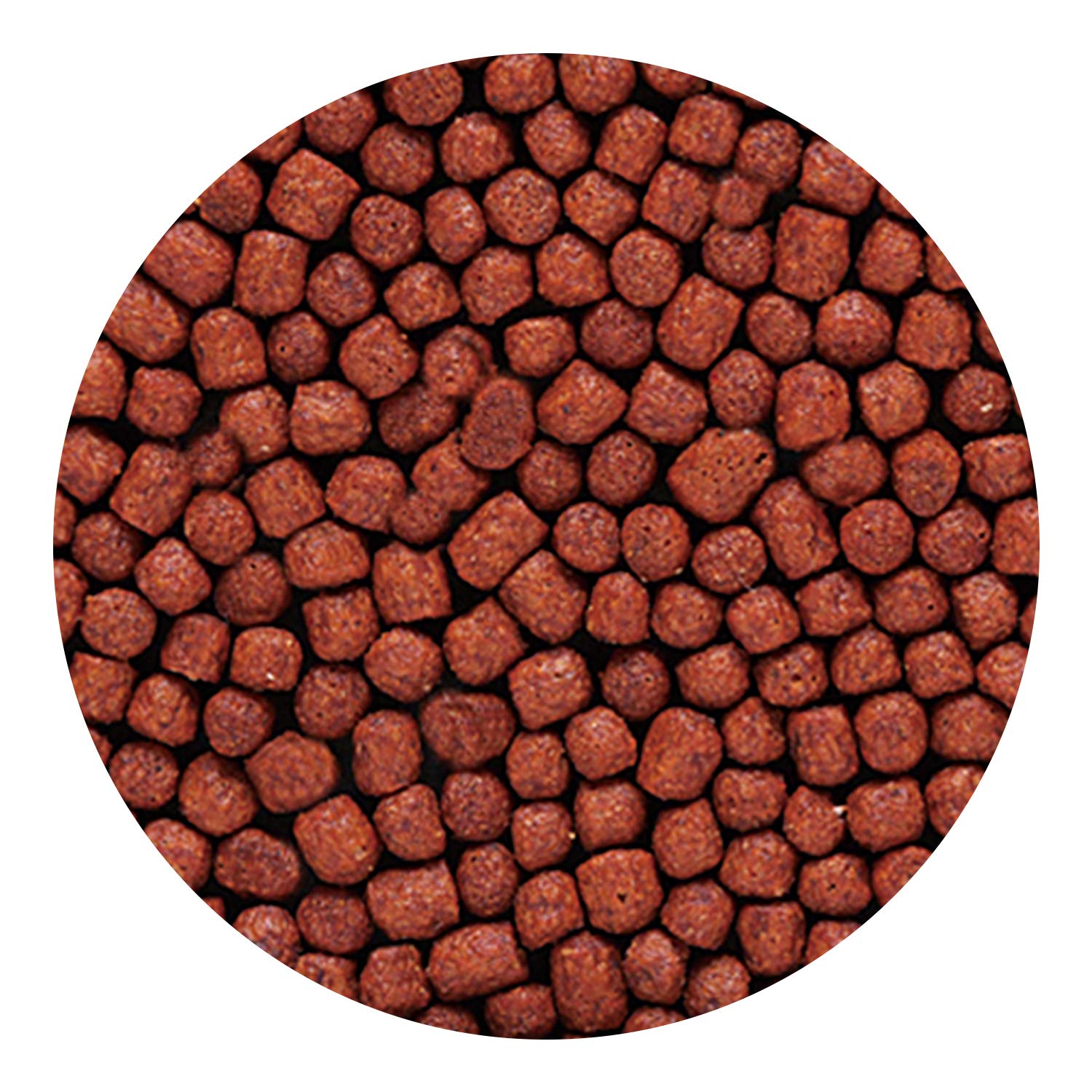 Hikari Blood Red Parrot+ ingredients closeup features krill, astaxanthin, yeast.