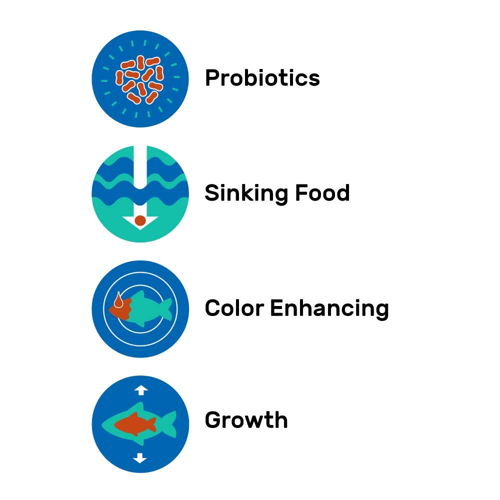 Hikari Carnivore Pellets nutrition-matrix — probiotic-enhanced diet supports gut-friendly nutrition