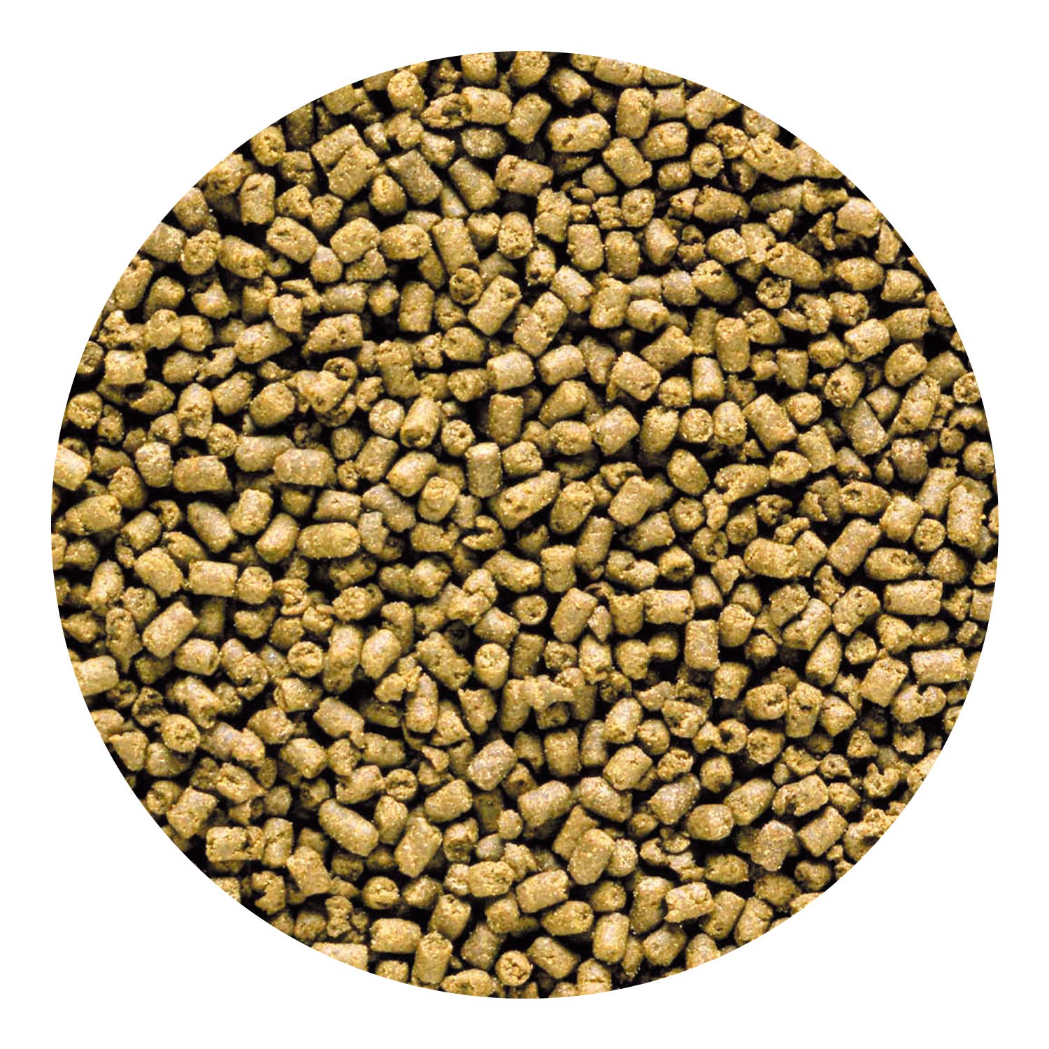 Hikari Carnivore Pellets reef-color — potential enhancement of color with continued use