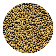 Hikari Carnivore Pellets reef-color — potential enhancement of color with continued use
