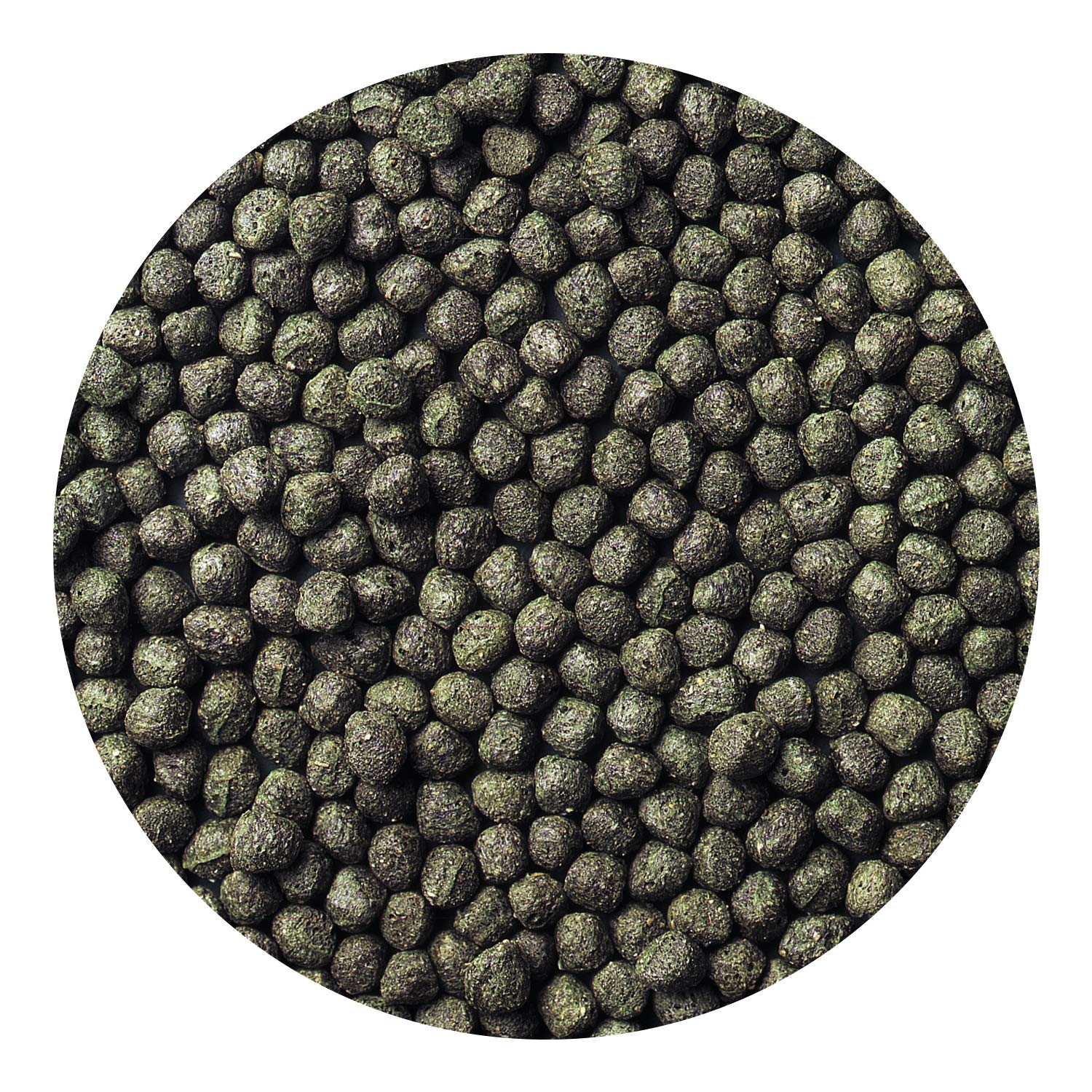 Hikari Cichlid Excel floating pellets closeup reveals texture and color.