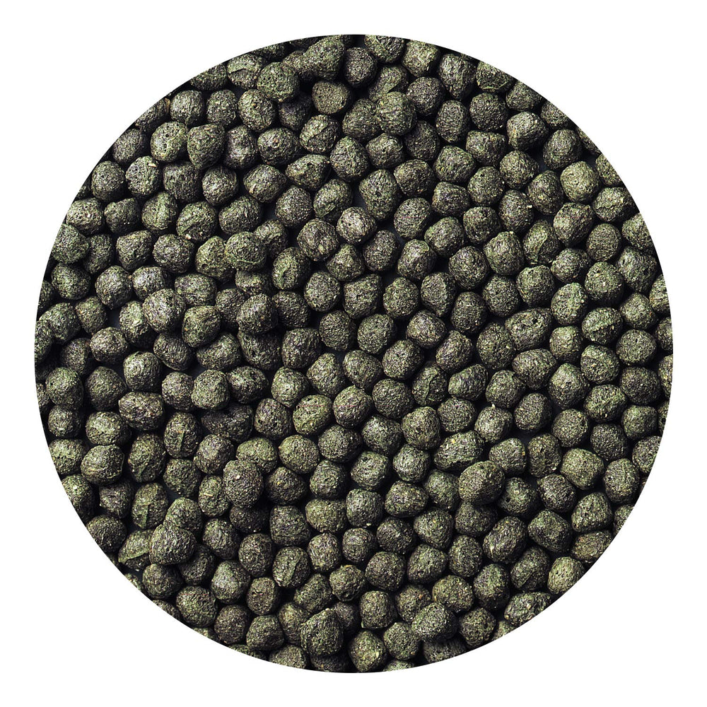 Hikari Cichlid Excel floating pellets closeup reveals texture and color.