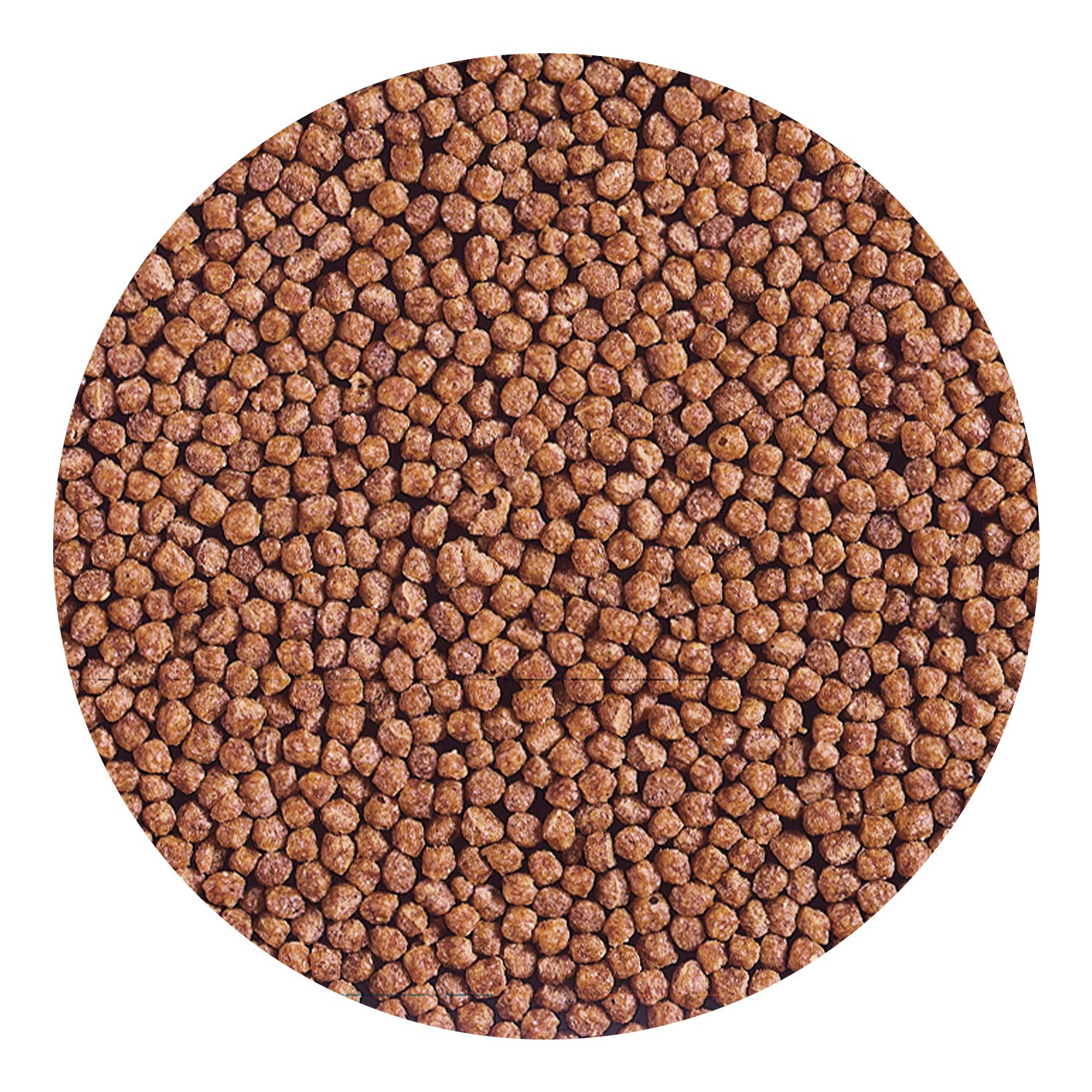 Hikari Cichlid Gold pellets closeup reveals texture and size