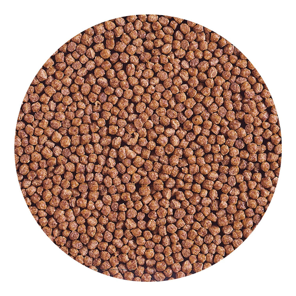 Hikari Cichlid Gold pellets closeup reveals texture and size
