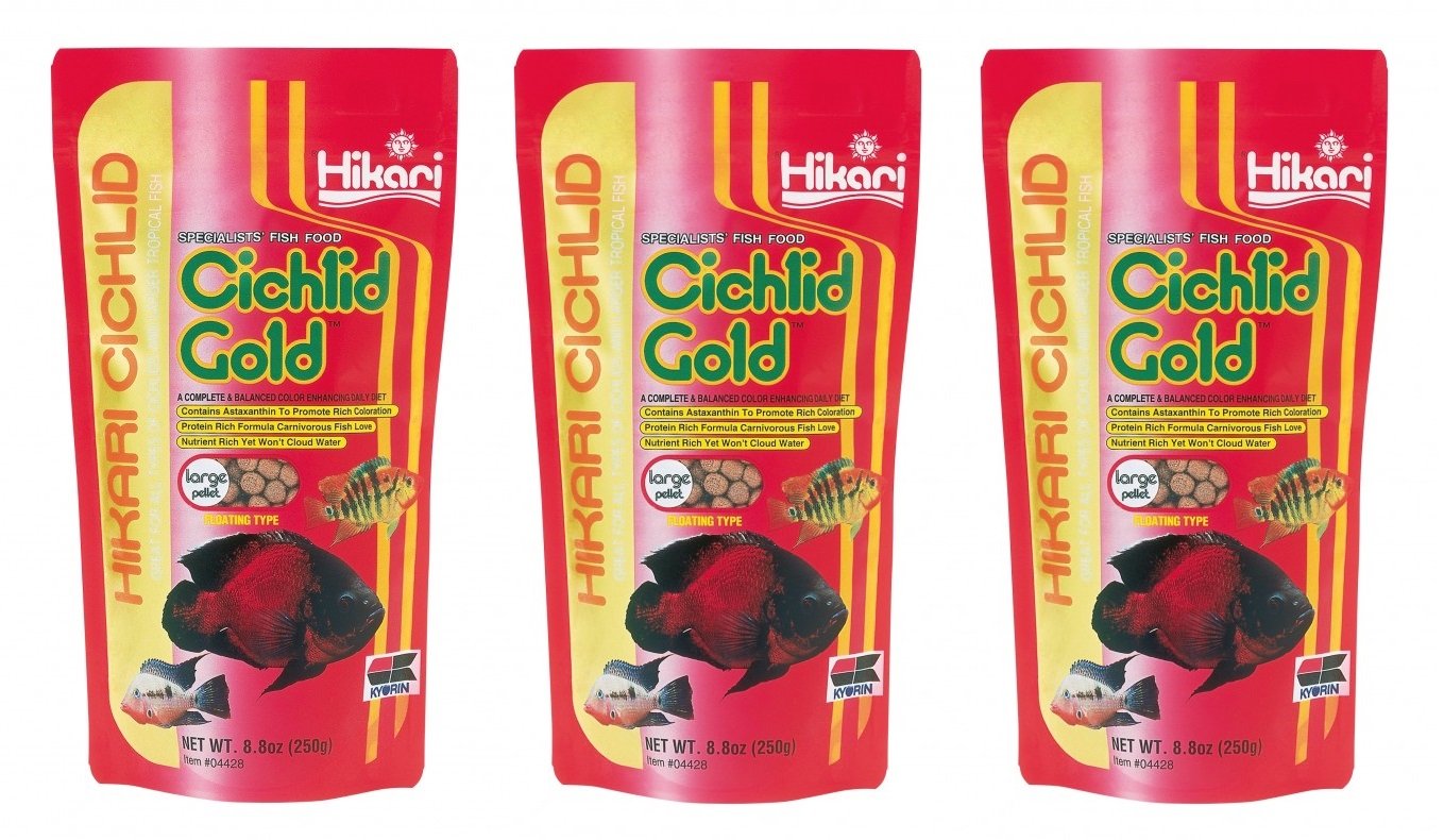 Hikari Cichlid Gold floating pellets close-up for large cichlids support balanced nutrition
