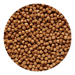 Hikari cichlid gold pellets closeup highlighting protein-rich nutrition for growth.