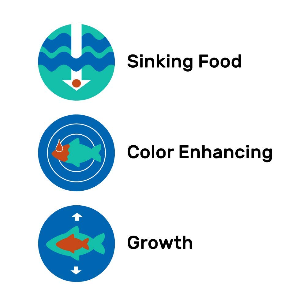 Hikari Cichlid Gold supports immune health through balanced nutrition.