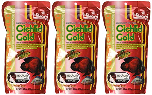 Hikari Cichlid Gold with stabilized vitamin C for nutrient stability.
